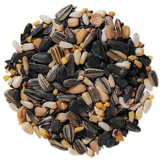 Premium Seeds