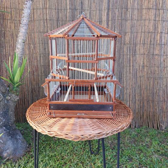 Cages and Homes